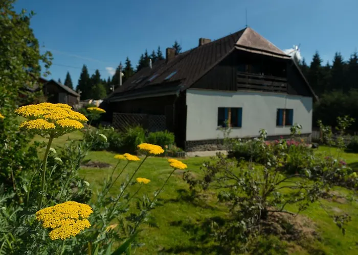 Apartment Kopanicakova