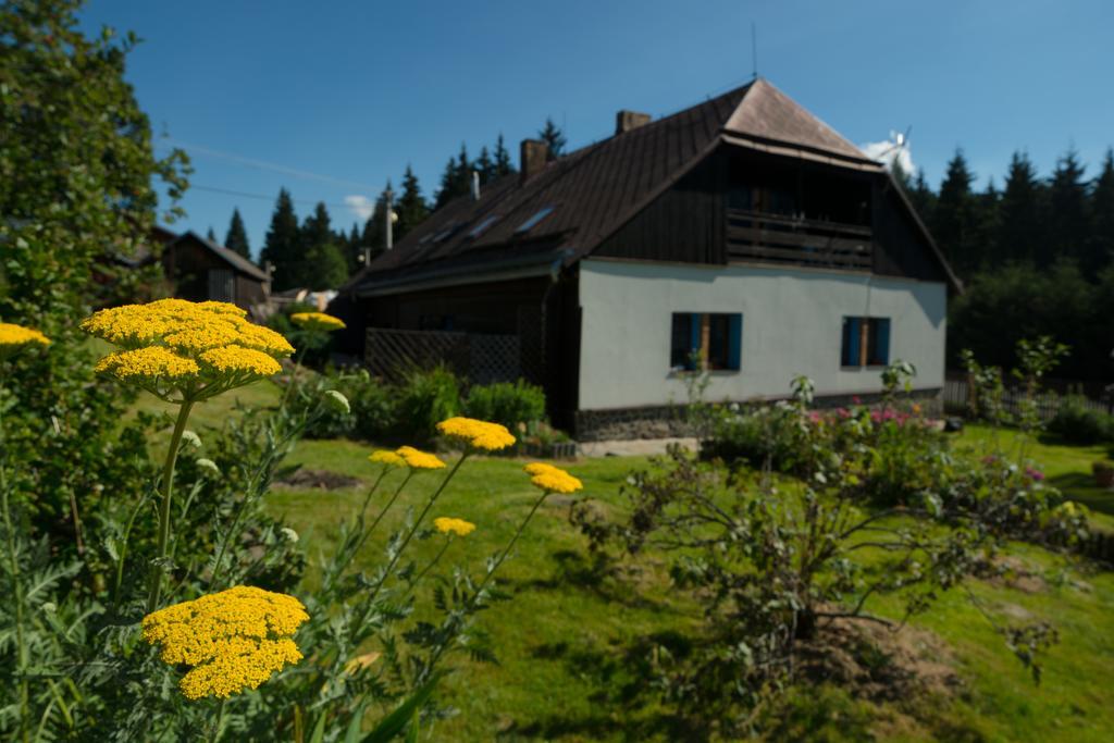 Kopanicakova Apartment