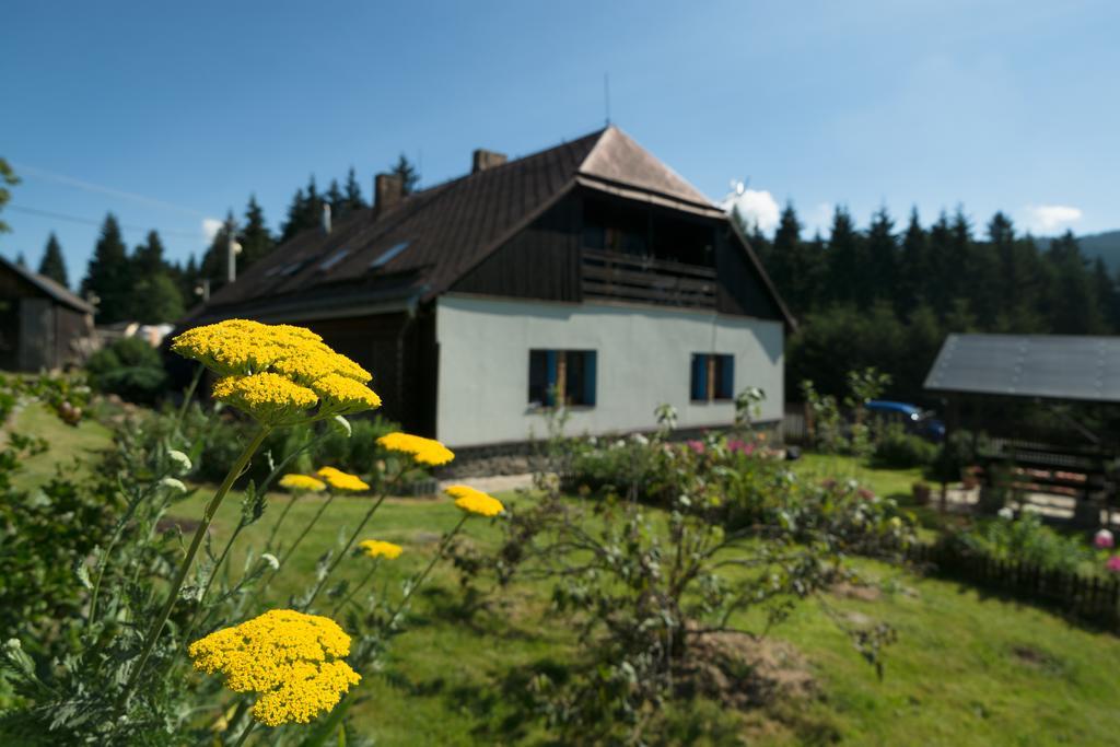 Kopanicakova Apartment *