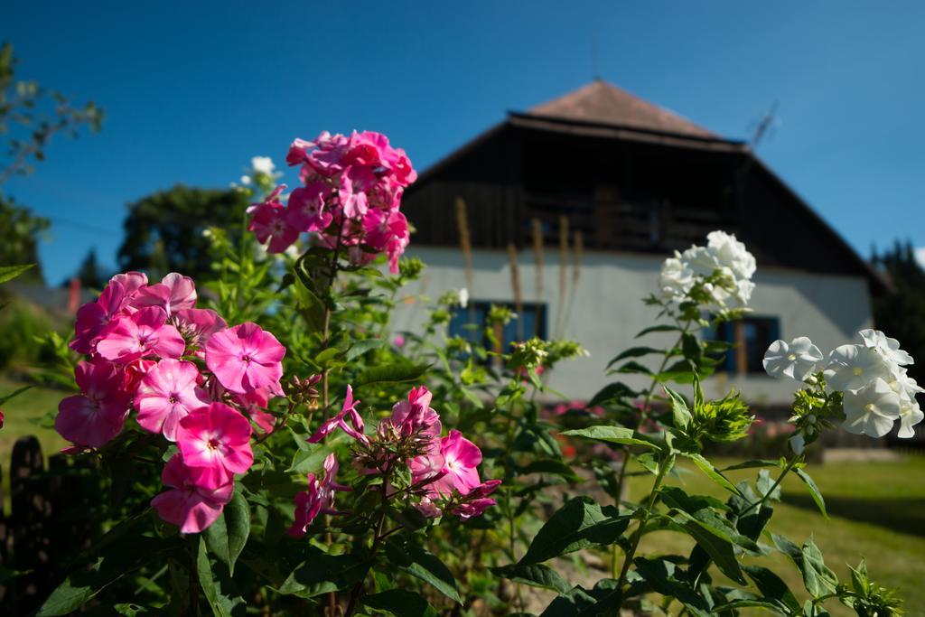 Kopanicakova Kubova Hut